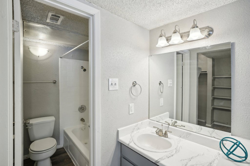 a bathroom with a sink and a mirror and a toilet