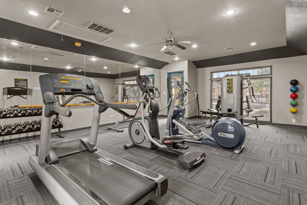 A gym with treadmills, exercise bikes, and other equipment.