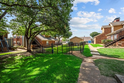 A tree in a yard with a black fence.