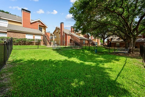 A backyard with a green lawn and a tree.