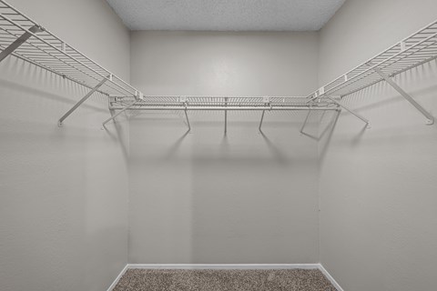 Empty white closet with shelves and a carpeted floor.