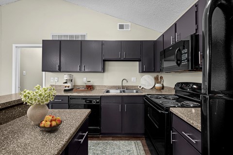 A kitchen with black appliances and cabinets.