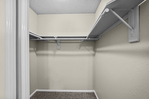 A white closet with a shelf and a carpeted floor.