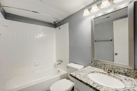 a bathroom with a sink toilet and tub and a mirror