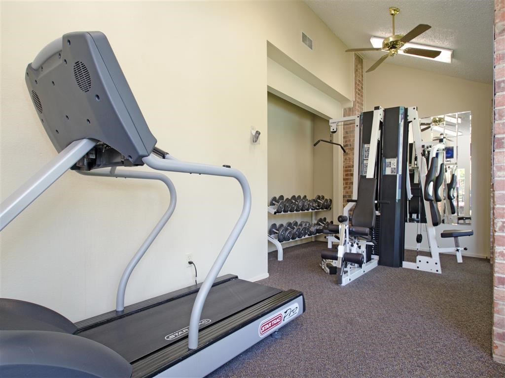 a gym with weights and cardio equipment in a home gym