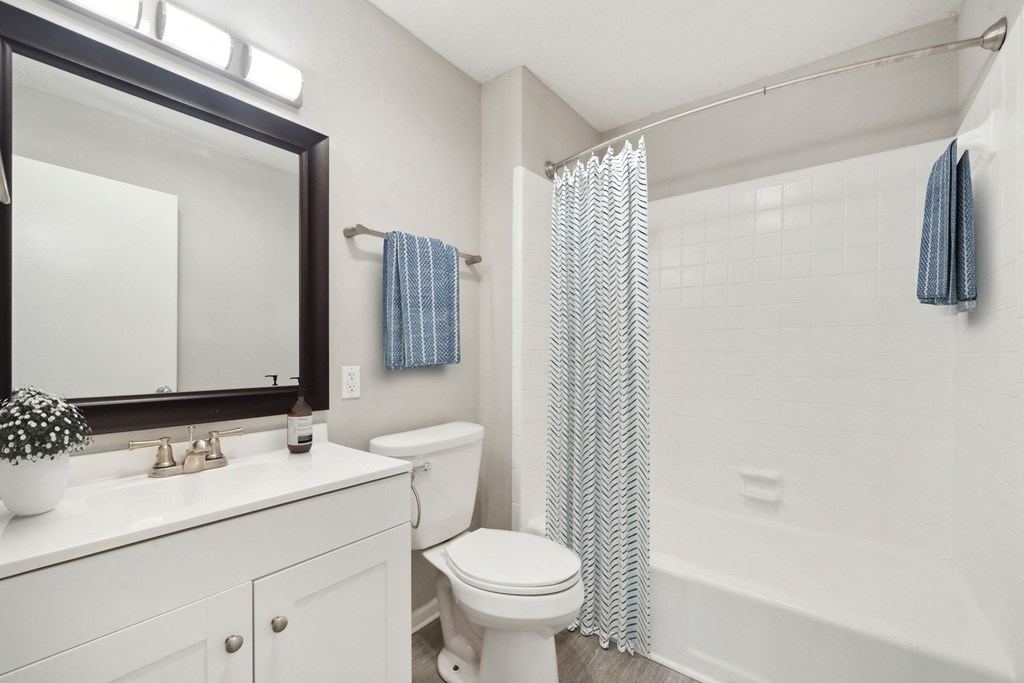 a bathroom with a shower toilet and sink and a mirror