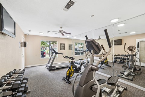 A gym with a variety of exercise equipment including treadmills, stationary bikes, and weight machines.