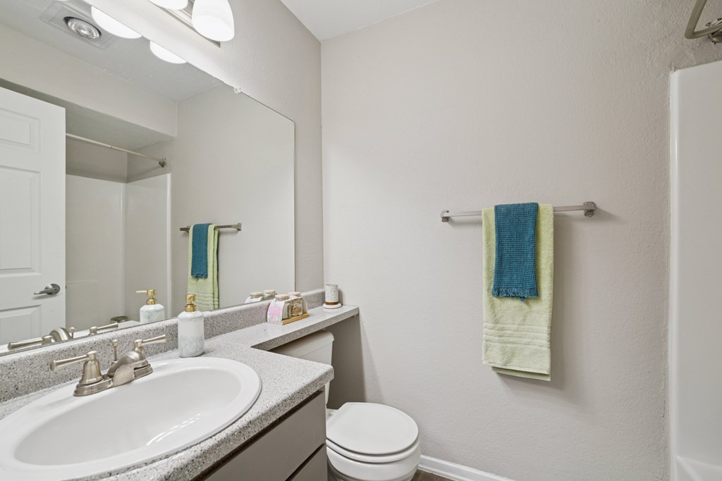 A bathroom with a white sink, toilet, and a mirror.