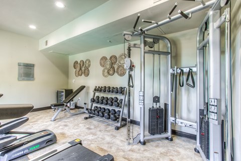Fitness center with cardio and weight training equipment at Waters Edge Villas Apartments, Texas, 75088