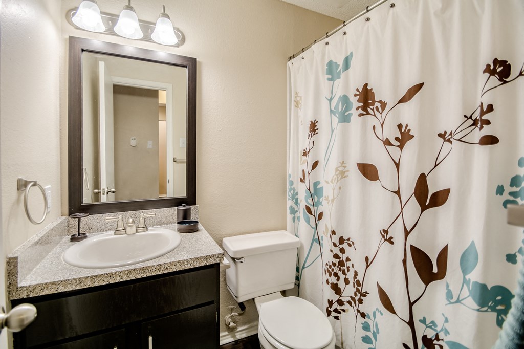 Luxurious Bathroom at Woodchase, Texas