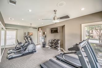 the gym has plenty of cardio equipment and a tv