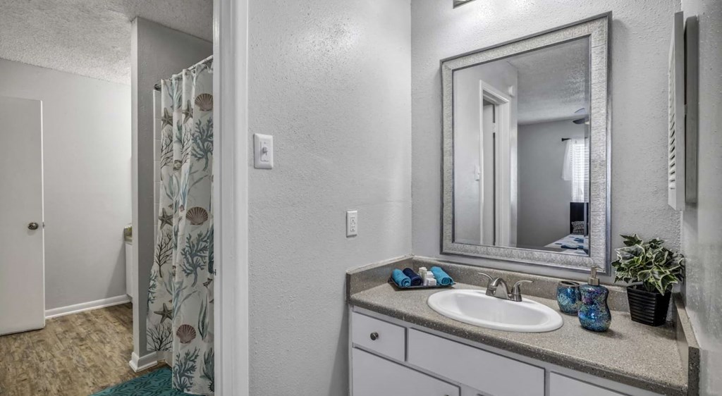 Luxurious Bathroom at Viva Max, Texas  
