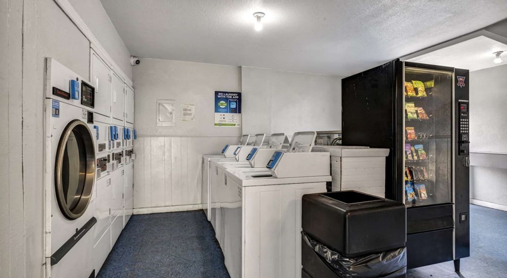 Laundry Room at Viva Max, San Antonio