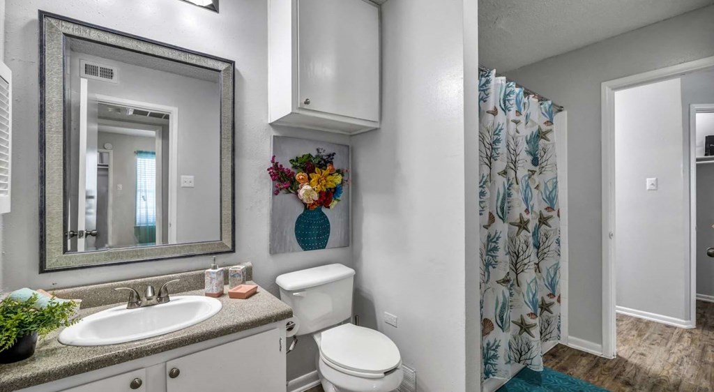 Modern Bathroom at Viva Max, San Antonio Texas