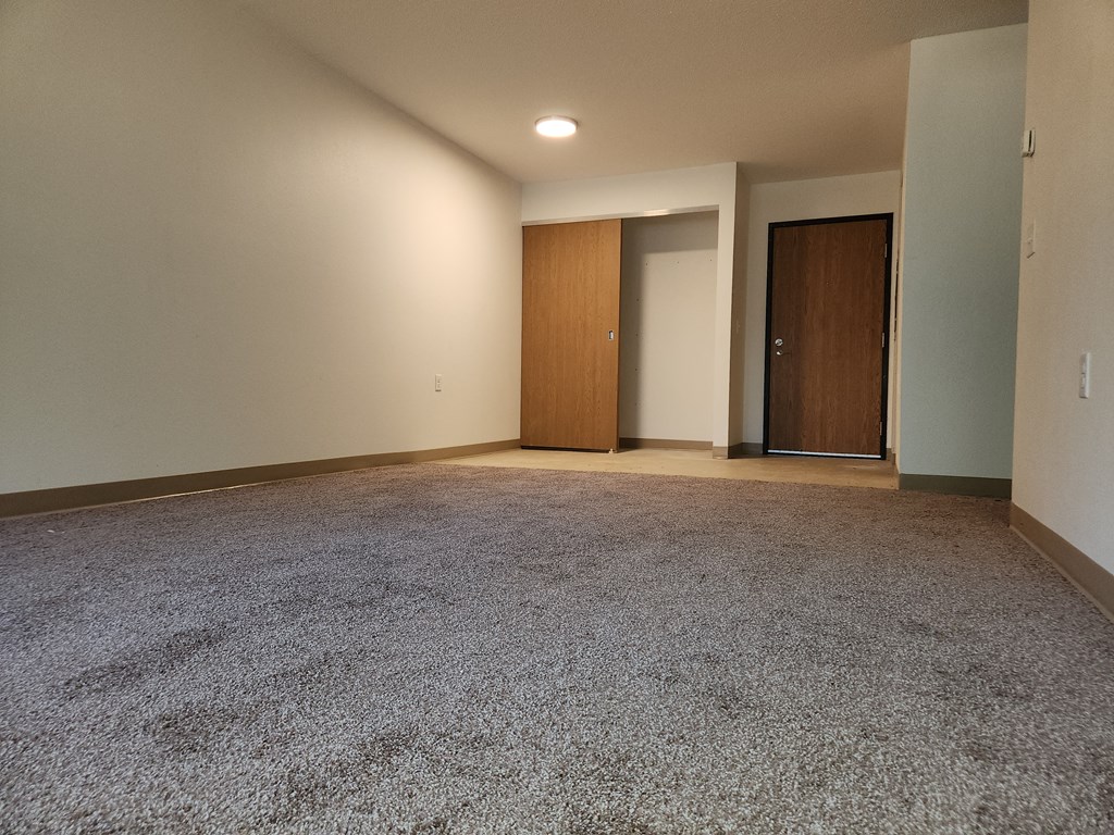 an empty living room with carpet and a door to a closet
