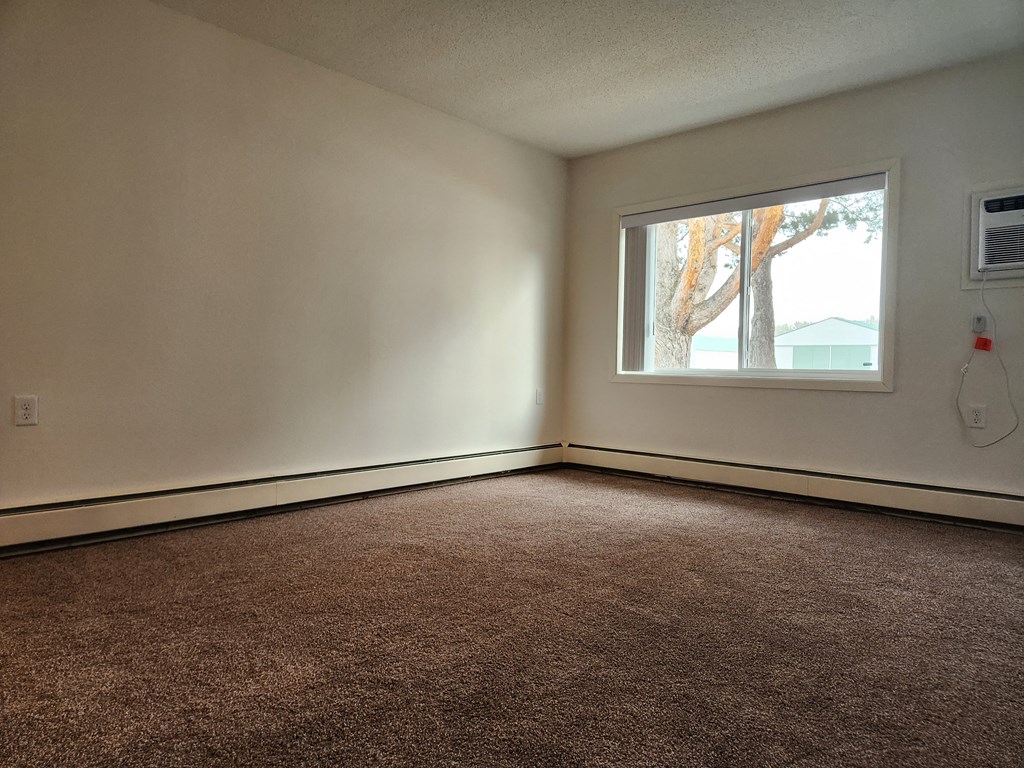 an empty room with a window and a carpet