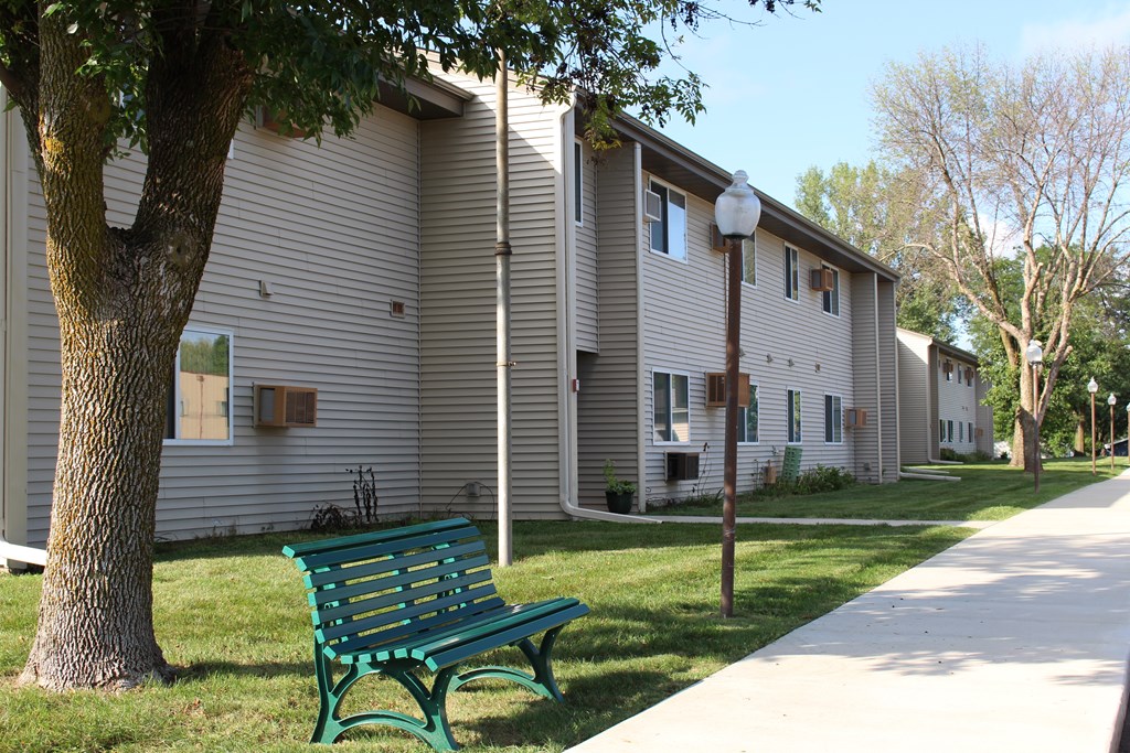 A green bench sits under a tree next to a sidewalk.