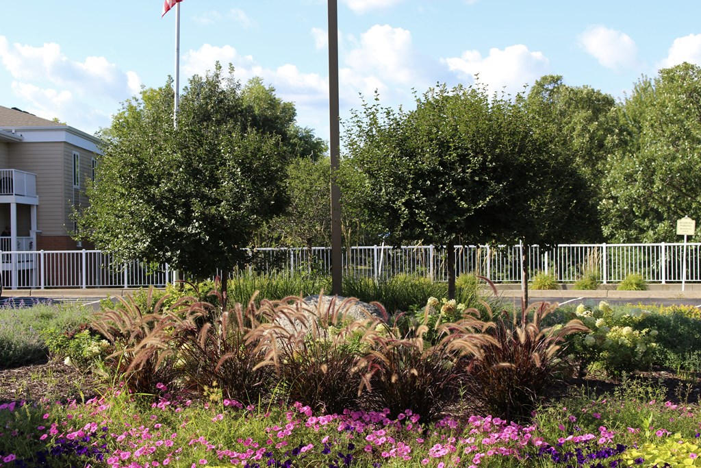 A flower garden with a variety of plants and flowers