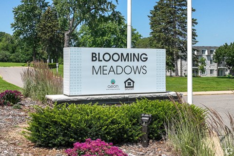 Blooming Meadows South