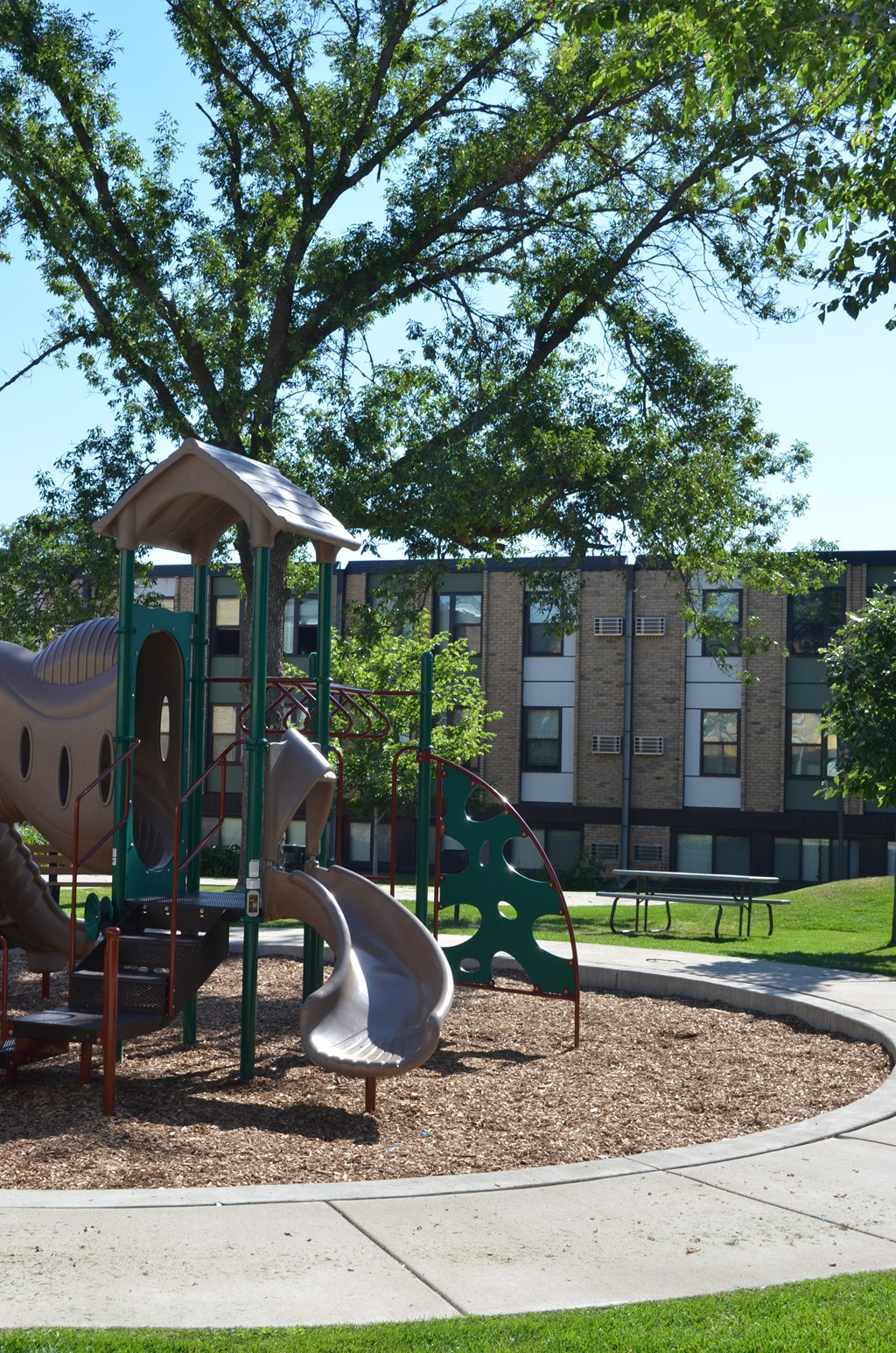 a playground with slides and a tree in front of a building