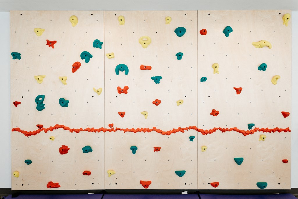 Climbing Wall