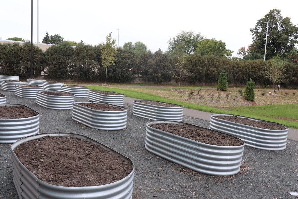 a row of pots filled with dirt and trees in the background