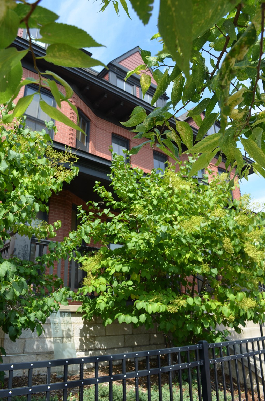 a house with a fence and a tree in front of it