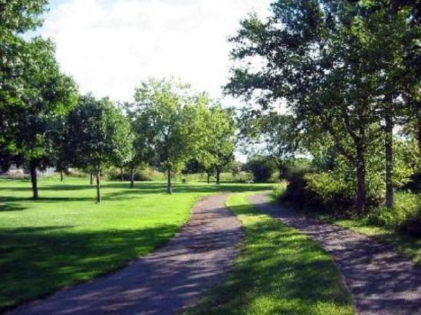 Sidewalks in a park with trees on both sides