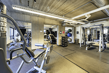 Fitness Suite