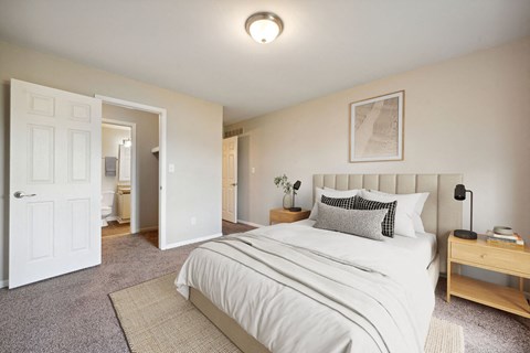 a bedroom with a bed and a closet