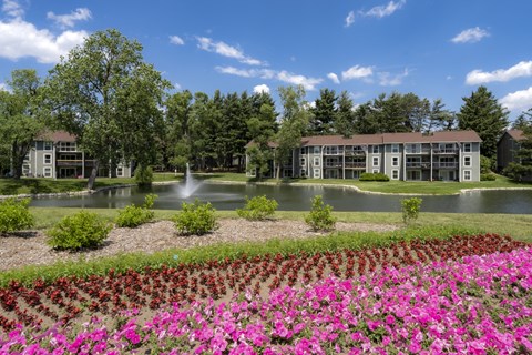 a view of a pond with flowers in front of a building