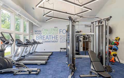 A gym with a row of treadmills and a row of exercise bikes.