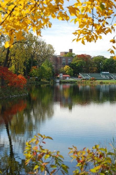 a body of water with trees and a building in the background