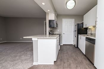 Newly Renovated Apartments