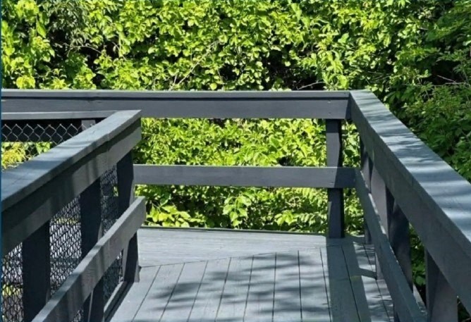A wooden bridge with a metal railing leads through a lush green forest.