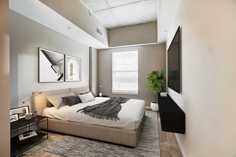 A bedroom with a bed, a nightstand, a plant, and a TV.