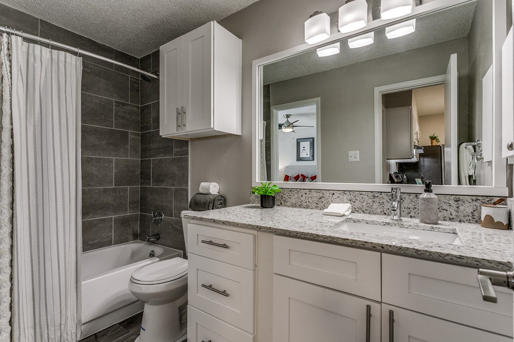 a bathroom with a sink and a toilet and a tub