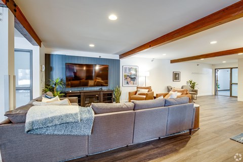 A living room with a grey couch and a wooden floor.
