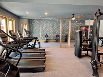 A gym with treadmills, elliptical machines, and a weight rack.