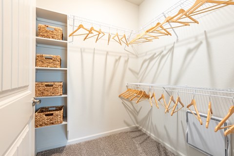 Walk-In Closets in 78717 at Avery Ranch Apartments