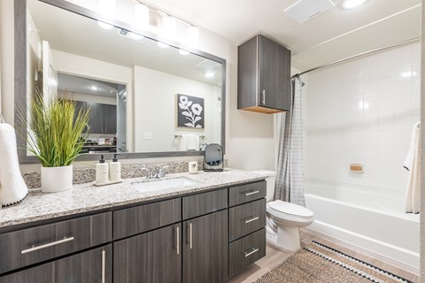 Granite Counters and Framed Mirrors in North Austin at Avery Ranch, Austin