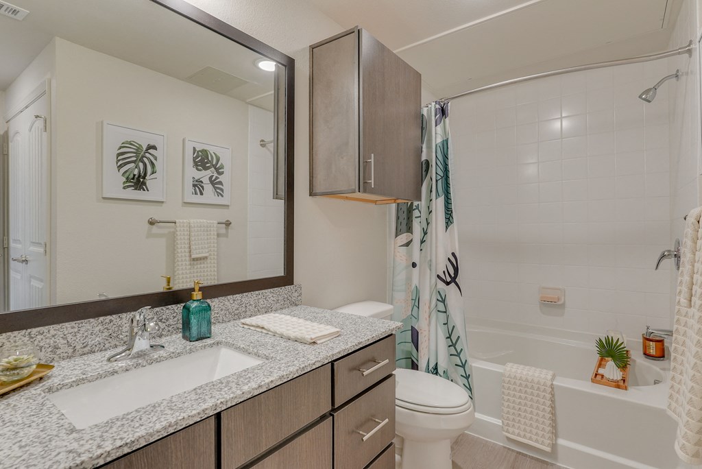 a bathroom with a shower toilet and sink and a mirror