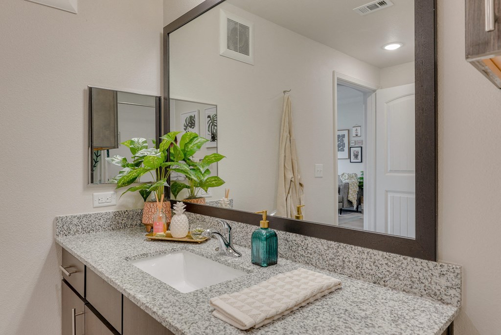 a bathroom with a sink and a mirror