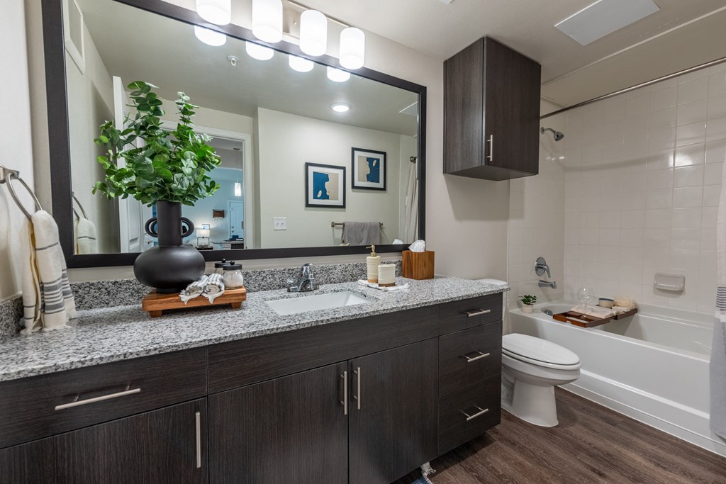 Bathroom of a spacious luxury apartment at Bridge at Paloma 78754 Northeast Austin