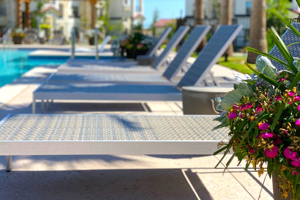 Resort-Style Pool at Paloma, Austin, Texas