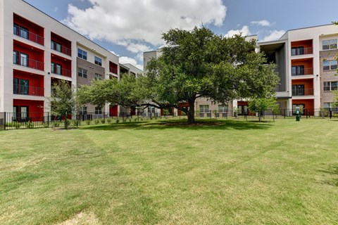 Spacious courtyard with mature tree and green lawn at Bridge at Saffron Apartments, Austin, TX 78717