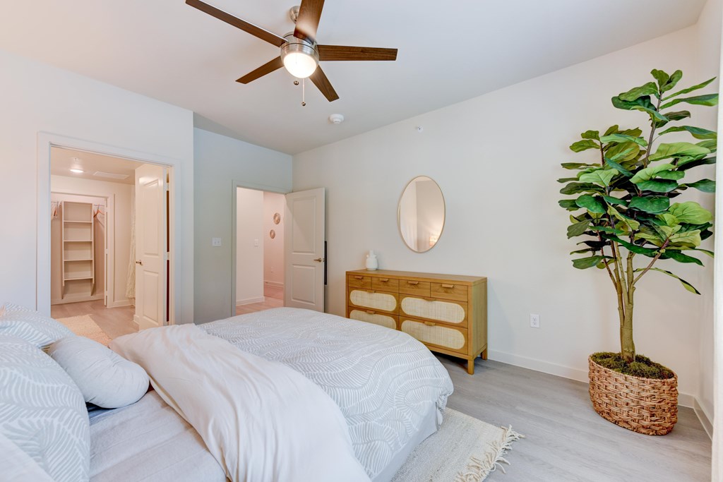 A bedroom with a bed, dresser, mirror, and plant.
