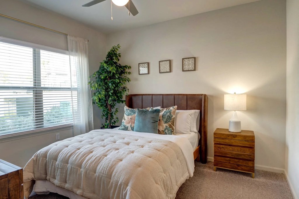Spacious Bedrooms at Paloma, Austin, Texas