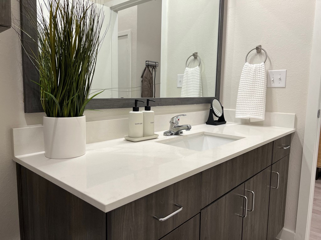 Bridge At Windsor Park