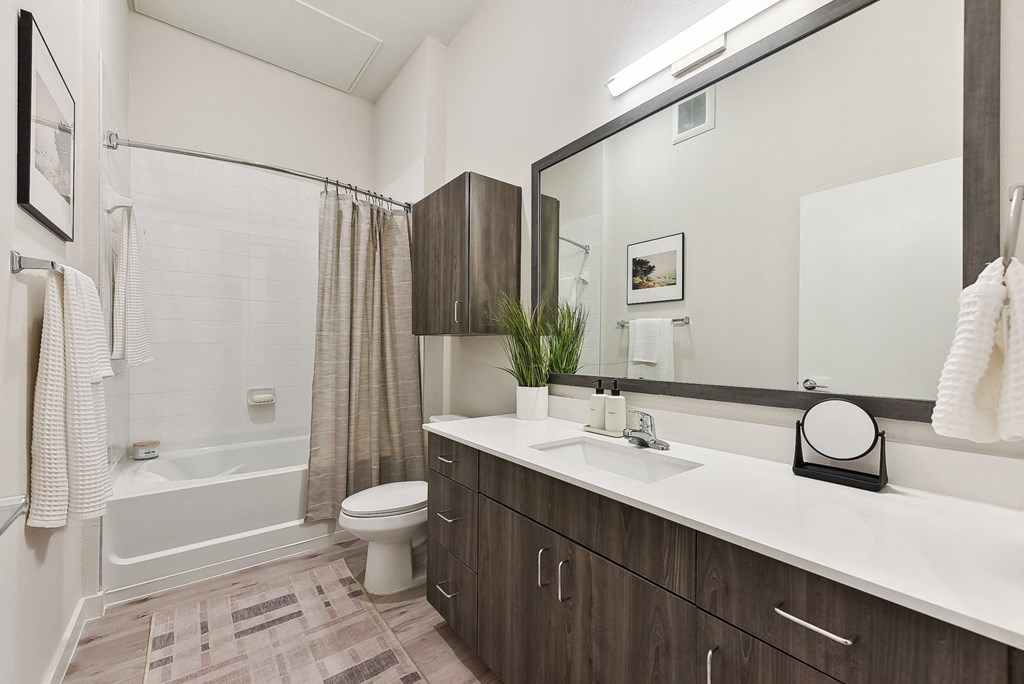 Bridge At Windsor Park